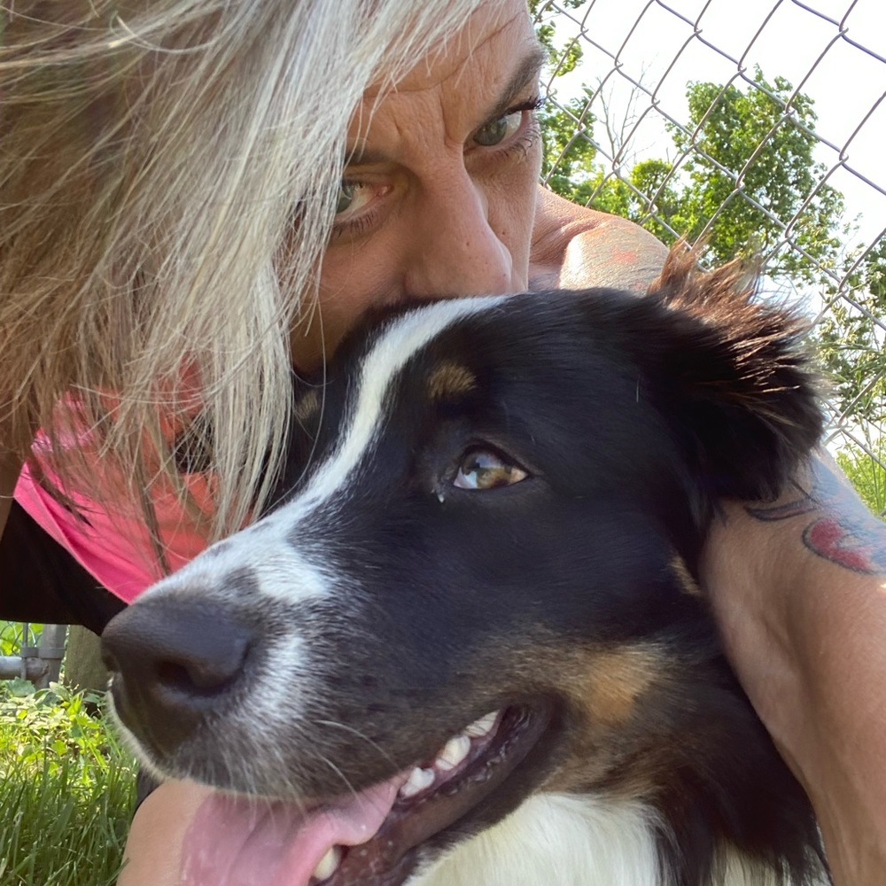 I’m Kriss and this is my Wiggle Butt sidekick Sparrow! - Picture 4 of 7